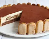 Eine köstliche tiramisu torte, mit Löffelbiskuits und Kakaopulver verziert, wartet darauf, angeschnitten zu werden.
