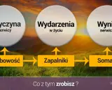 Schemat wyjaśniający przyczyny nerwicy: osobowość, wydarzenia życiowe i zapalniki prowadzą do somatycznych objawów nerwicy.