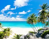Traumhafter Strand auf Barbados mit Palmen und türkisblauem Meer. Die beste Reisezeit für dieses Paradies ist jetzt!