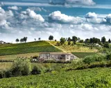 Un perfetto weekend nel Monferrato tra vigneti rigogliosi e colline dolci, con un casale in pietra che domina il paesaggio.