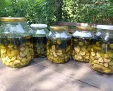 Sekrety orzechówki: na co pomaga i jak ją stosować bezpiecznie?