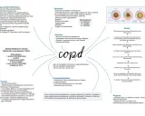 COPD: Husten, Atemnot, Lungenemphysem. Bei COPD kann es zu Wassereinlagerungen kommen, was die Symptome verschlimmert.