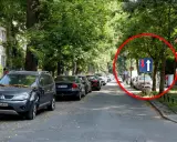 Na tej jednopasmowej drodze, wśród drzew, widać znak informujący o ruchu jednokierunkowym z możliwością wyprzedzania.