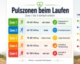 Grafik erklärt Pulszonen beim Laufen für besseres Laufen: Zone 1 (Warm-up) bis Zone 5 (Sprint) mit Sprechtest und typischer Nutzung.