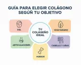Colágeno: ¿Realmente funciona? Guía para elegir tu suplemento ideal