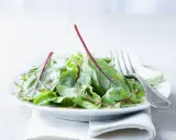 Frischer Mangoldsalat mit roten Stielen, beträufelt mit einem leichten Dressing, bereit zum Genießen.