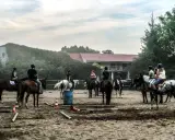 Najlepsze stadniny koni koło Poznania: Jak wybrać idealną?