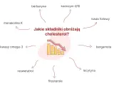 Monakolina K, choć skuteczna w obniżaniu cholesterolu, może mieć skutki uboczne. Schemat przedstawia składniki obniżające cholesterol.
