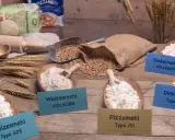 Verschiedene Mehlsorten, darunter Weizenmehl, Dinkelmehl und Pizzamehl, liegen in Holzschalen. Daneben Weizenkörner und ein Nudelholz.