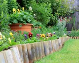 Un joli parterre de pensées colorées délimite le jardin avec une bordure en bois.