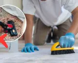 Hombre con guantes azules cepillando alfombra. Un círculo muestra aspiradora con cruz roja, indicando no aspirar. Limpiar alfombras en casa es más efectivo con cepillo.