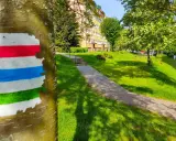 Kolor szlaku na drzewie – czerwony, biały, niebieski i zielony – wyznacza ścieżkę przez zielony park z blokami mieszkalnymi w tle.