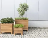 Trois jardinières en bois accueillent des plantes vertes luxuriantes, créant un espace extérieur invitant.