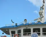 Le pont d'un navire de pêche, avec des éléments de navigation et le ciel bleu. Le système AIS position des navires de pêche est essentiel pour la sécurité.