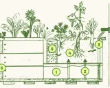 Schéma d'un bac de culture hors-sol, un "wicking bed", montrant le réservoir d'eau (1, 2), le trop-plein (3), les racines des plantes (4), le robinet de vidange (5) et le tube d'arrosage (6).