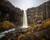 Svartifoss, najpiękniejszy wodospad, spada wśród bazaltowych kolumn. Woda tworzy mgiełkę, a jesienne trawy dodają koloru.