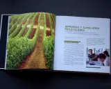 Viñedos verdes y un texto sobre armonías moleculares y papilas gustativas.
