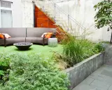 Un coin béton transformé en jardin : canapé, feu de camp, plantes luxuriantes et un chien curieux.