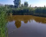 Malownicze prywatne stawy wędkarskie otoczone trzcinami, z odbijającymi się w wodzie drzewami i błękitnym niebem.