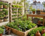 Un balcon luxuriant avec des fraises, des salades et des herbes aromatiques. Idéal pour savoir que faire pousser sur son balcon.