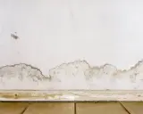 Muffa in casa: macchie scure e umidità sul muro vicino al battiscopa, segno di un problema da risolvere.
