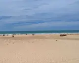 Weite Sandstrände und das Meer am Playa de Cortadura. Einige Menschen genießen den Tag unter Sonnenschirmen.