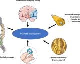 Ilustracja przedstawia mózg, rdzeń kręgowy, neuron i glukometr, które mogą wpływać na pęcherz neurogenny. Ćwiczenia na pęcherz neurogenny są kluczowe.