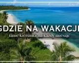 Rajska plaża z palmami i turkusową wodą. Idealne miejsce, by zastanowić się, gdzie na wakacje za granicę.