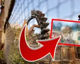 Phantasialand Neuheiten 2026: Moptopia, Aviaras & mehr Der Insider-Blick
