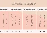 Vergleich von Haartypen: glatt, wellig, lockig und kraus. Hilft, den eigenen haartyp bestimmen.