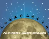Calendrier lunaire du potager 2026 : la lune et les signes du zodiaque guident vos plantations.