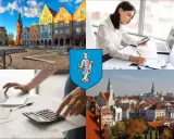 Kolaż: Rynek w Olsztynie, kobieta z kalkulatorem i laptopem, herb Olsztyna, panorama miasta.