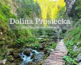 Malownicze wodospady na Słowacji blisko granicy z Polską, w Dolinie Prosieckiej. Drewniana kładka prowadzi przez górski potok.