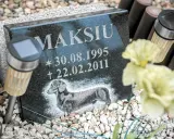 Pies na cmentarzu? Co mówią przepisy i jak uniknąć mandatu?