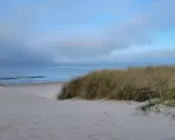Piaskowe wydmy porośnięte trawą, spokojne morze i błękitne niebo. Idealne ciche spokojne miejsce na weekend.