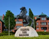 Białogóra: Jazda konna nad morzem galop po plaży, cennik, noclegi