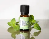 Szukasz, gdzie kupić olejek z oregano? Na zdjęciu buteleczka z organicznym olejkiem z oregano, otoczona świeżymi gałązkami.