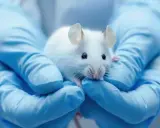 Investigación animal: ¿Por qué es vital para tu salud?