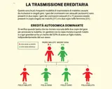 Schema di trasmissione ereditaria autosomica dominante, che illustra come le malattie genetiche più diffuse possono manifestarsi in una famiglia.