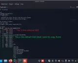 Przenieś Steam na SSD: Gry szybciej, więcej miejsca, bez problemów