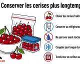 Conseils pour bien conserver des cerises : choisir des fruits frais, les garder au frais, ne pas les laver avant stockage, les congeler ou les transformer en confiture.