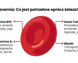 Anemia: co jeść oprócz żelaza? Witamina B12, kwas foliowy, witamina A i miedź są kluczowe. Znajdziesz je w rybach, jajach, szpinaku, marchwi i orzechach.