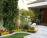 Un rigoglioso spazio davanti casa con alberi, piante di papiro e un prato curato.