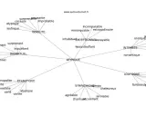 Carte mentale des synonymes d'atypique : insolite, exceptionnel, inhabituel, loufoque, éclectique.