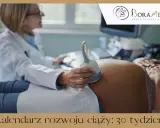 Lekarz wykonuje USG brzucha ciężarnej. To ważny moment w kalendarzu rozwoju ciąży: 30 tydzień.