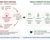 Cykl unikania: napad paniki, unikanie, ulga, zawężanie życia. Droga do wolności: zrozumienie, ekspozycja, nowe doświadczenia, wolność.