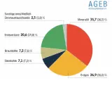 Kreisdiagramm zeigt Energiequellen in Deutschland. Mineralöl dominiert, gefolgt von Erdgas und Erneuerbaren. Der Energieverbrauch pro Kopf Deutschland wird hier visualisiert.