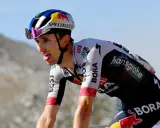 Radfahrer Jai Hindley kämpft sich mit herausgestreckter Zunge einen Berg hinauf, sein Helm trägt das Red Bull Logo.