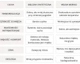 Porównanie bielizny termicznej i termoaktywnej: syntetyczna vs. wełna merino. Tabela cech, komfortu i ceny.
