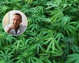 Mężczyzna z tatuażami w okręgu na tle gęstej roślinności konopi. Dyskusja o legalizacji marihuany nabiera tempa.
